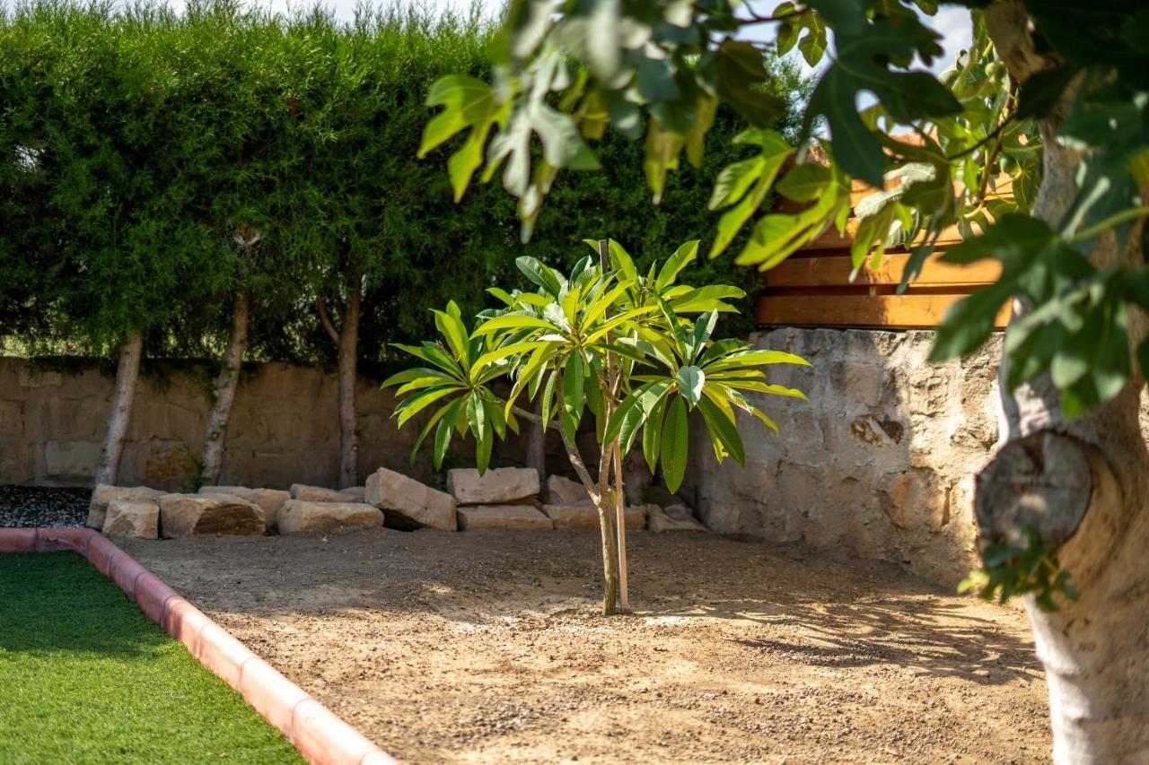בורוקליני Dene Hollow מראה חיצוני תמונה